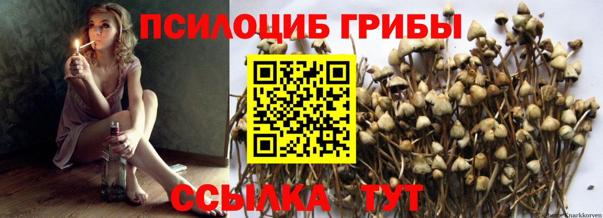 Нижний Тагил  Псилоцибиновые грибы Magic Shrooms  Вход с VPN 