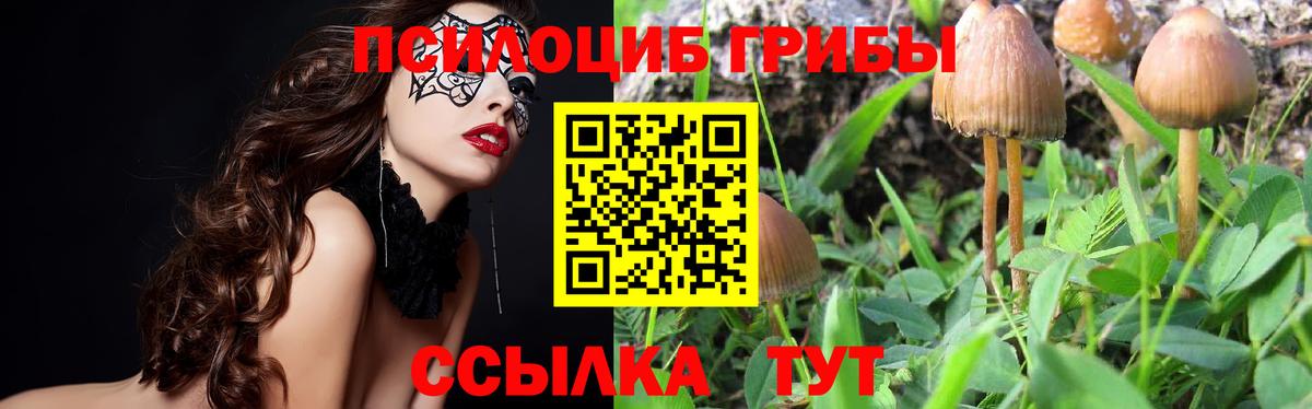 Галлюциногенные грибы мицелий Нижний Тагил